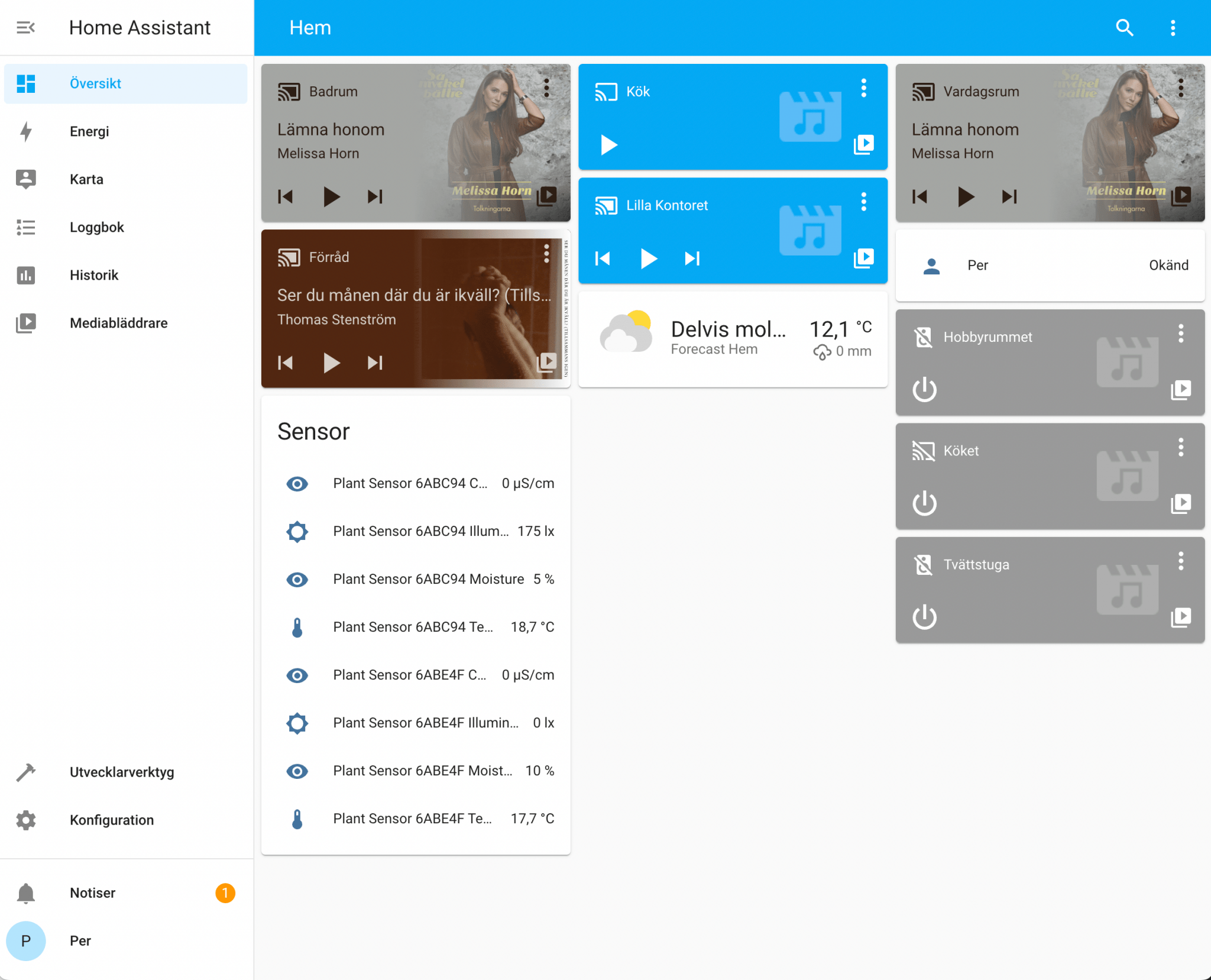 Guide Så installerar du Home Assistant på en Raspberry Pi Hemmastyrning
